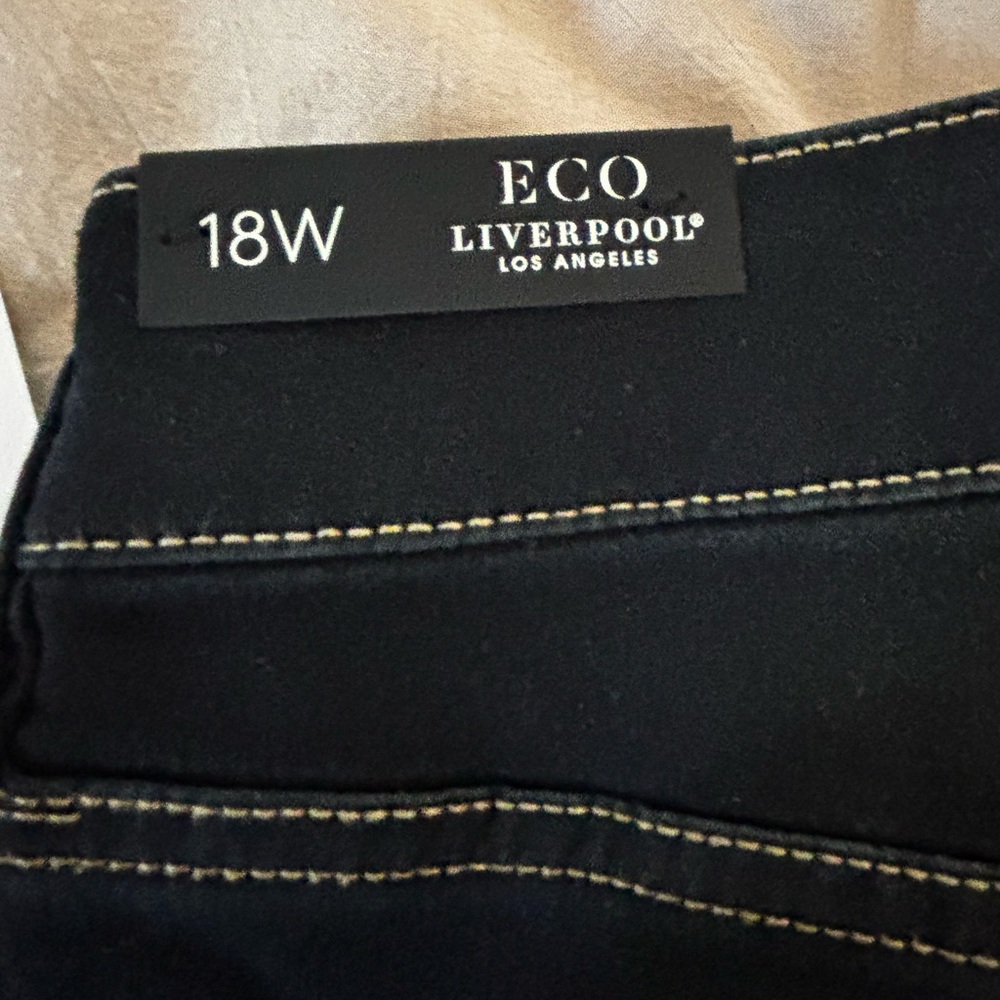 18W Eco Liverpool skinny dark jean